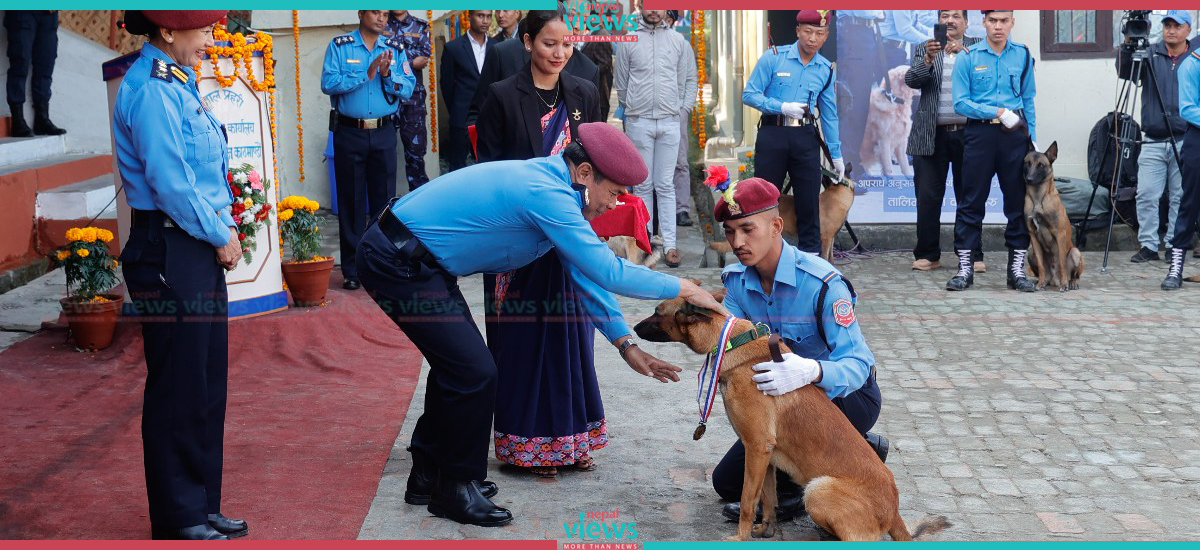 पूजासँगै कला प्रदर्शनमा उत्रिएका कुकुर (तस्वीरहरू)