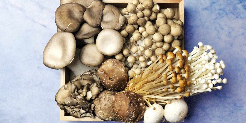 विषालु च्याउ खाँदा एकै परिवारका तीन जना बिरामी