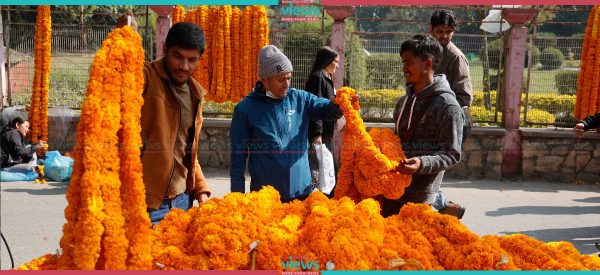 तस्वीरमा हेर्नुहोस् सयपत्रीमय भृकुटीमण्डप