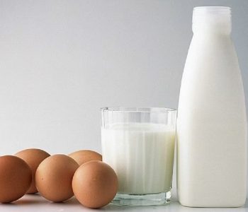 नास्तामा दूधसँगै अन्डा खादाँ कस्तो असर हुन्छ ?