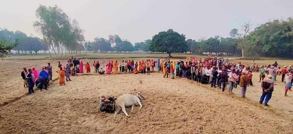 बिजुलीको तार चुडिँएर खस्दा खेत जोतिरहेका किसानको मृत्यु