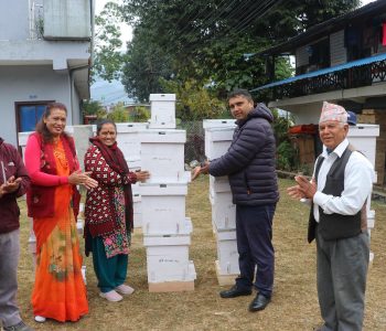 किसानलाई अनुदानमा मौरीका घार वितरण, ४ वटा घारबाट ६० हजार आम्दानी