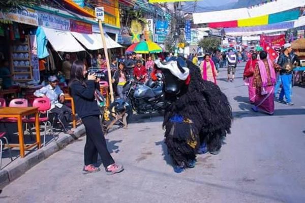 पर्यटन प्रवर्द्धनको कोशेढुङ्गा बन्दै पोखराको सडक महोत्सव