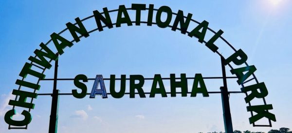 चार वर्षपछि सौराहमा हात्ती महोत्सव हुँदै