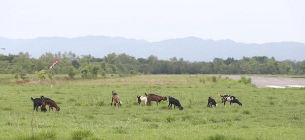 टीकापुर विमानस्थल : तयारी गरेको दशक बित्यो, अझै भएन उडान