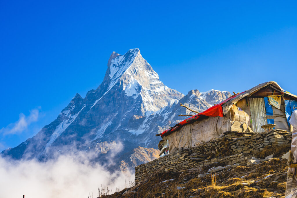 अझै भेटिएनन् मर्दी पदयात्रामा हराएका विदेशी पर्यटक