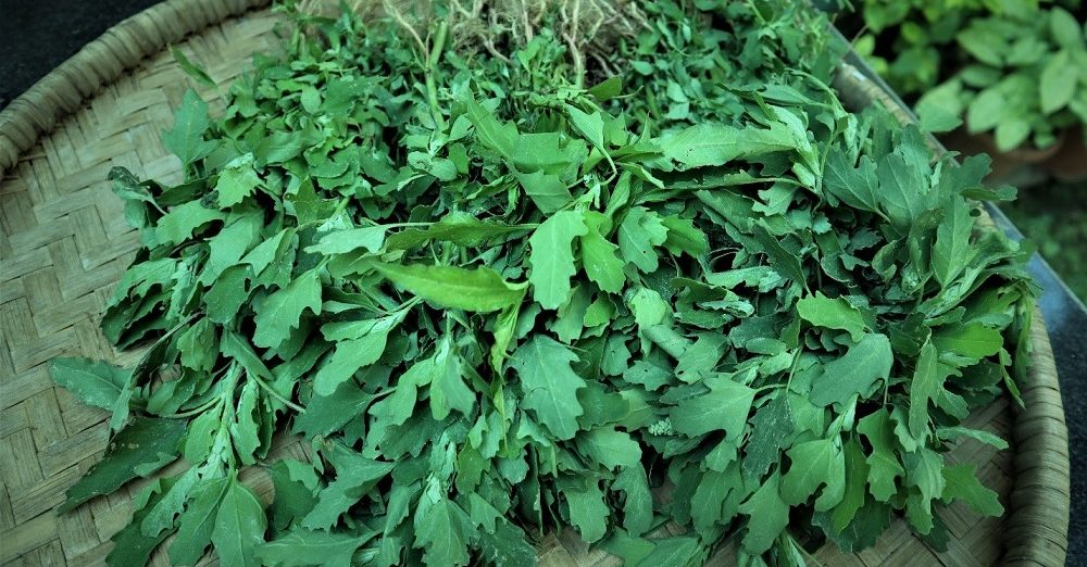 यस्ता व्यक्तिले बेथेको साग खानु हुँदैन