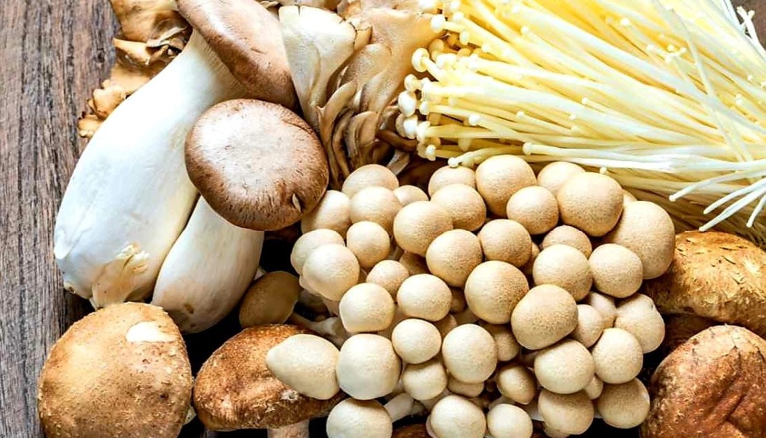 च्याउका फाइदा जानेपछि तपाईं दैनिक खानुहुनेछ