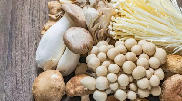 कपालका लागि पनि राम्रो हुन्छ च्याउ