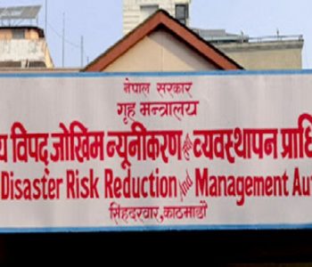 विपद् प्राधिकरणको कार्यकारी निर्देशकमा दिनेश भट्ट नियुक्त