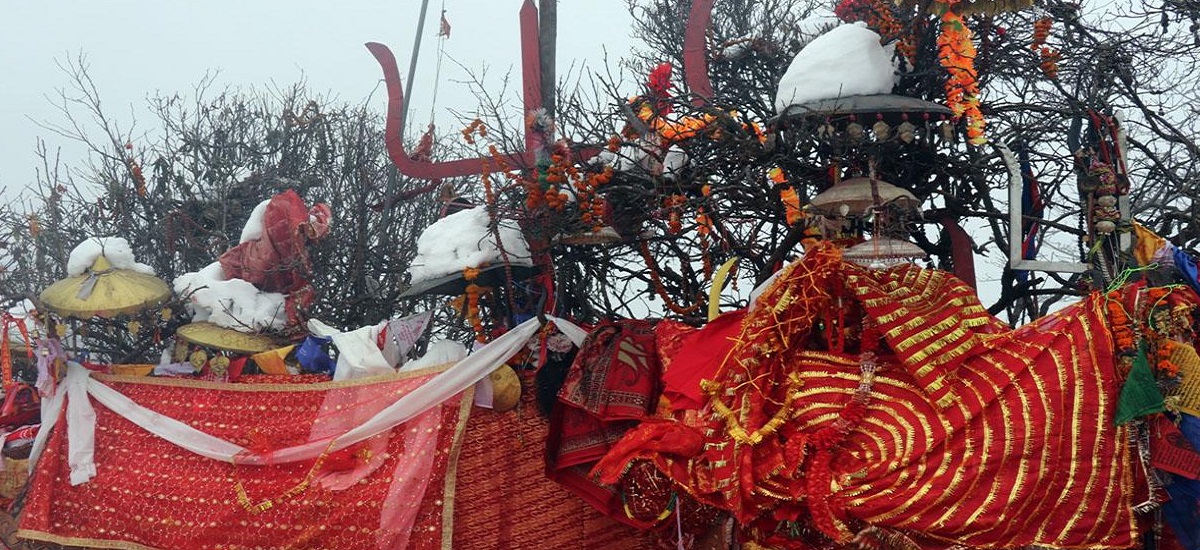 पाथीभरामा एकैदिन सात हजारभन्दा बढी दर्शनार्थी
