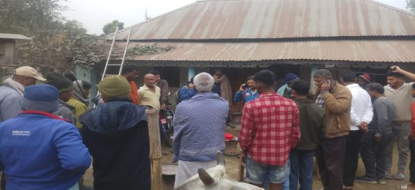 स्थानीयको गोरु चोरेर काटेको आरोपमा तीन जना पक्राउ