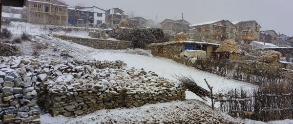 हिमपातले हुम्ला सेताम्ये, किसान हर्षित (तस्वीरसहित)