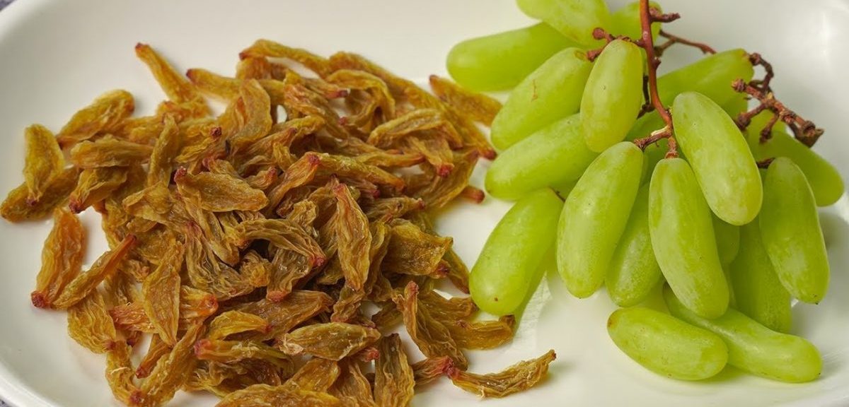 किसमिस र अंगुरमा धेरै स्वस्थकर के हुन्छ ?