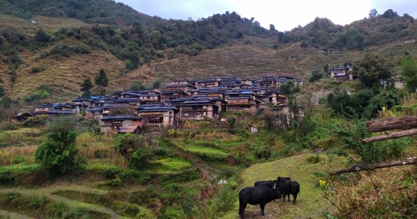 गाउँमा सडक पुग्यो, मासिए सम्पदा