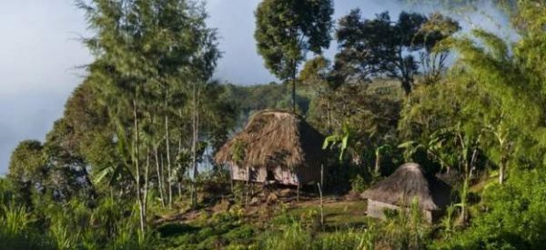 पपुवा न्यू गिनीमा भएको जातीय भिडन्तमा ६४ जनाको मृत्यु