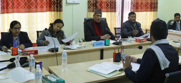 संवैधानिक परिषद्को निर्णयमा प्रधानमन्त्रीको सहमति अनिवार्य