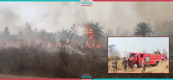 धनुषाधामस्थित संरक्षित वनमा भीषण आगलागी, बजार पनि जोखिममा (तस्वीरहरू)