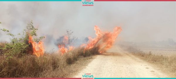 डढेलोले दाङमा बस्ती नै सखाप, आगो अझै नियन्त्रणमा आएन