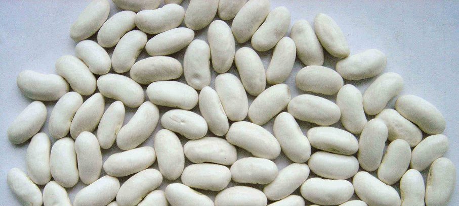 सेतो राजमा पनि हुन्छ एकदमै फाइदाजनक
