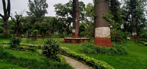 पशुपतिको जंगलमा एक किशोरी झुण्डिएको अवस्थामा भेटिइन्