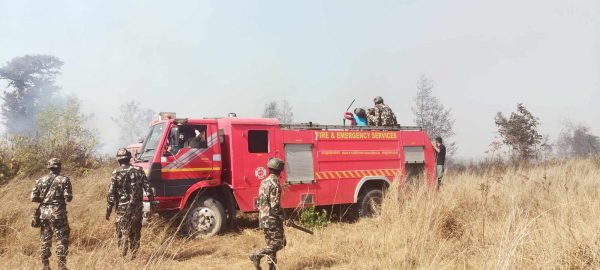 धनुषाधामको वनमा लागेको आगो नियन्त्रण