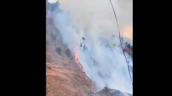 विकराल बन्दै वन डढेलोको अवस्था, देशभर १६५ ठाउँमा डढेलो