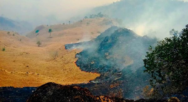 ५० जिल्लामा फैलियो डढेलो, खडेरीका कारण नियन्त्रण बाहिर