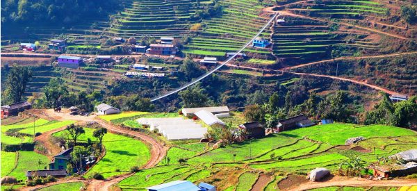 एक मुरी मकै फल्ने बारीमा ५० हजारभन्दा बढीको तरकारी उत्पादन