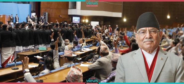 संसदीय प्रणालीको गिर्दो साख !