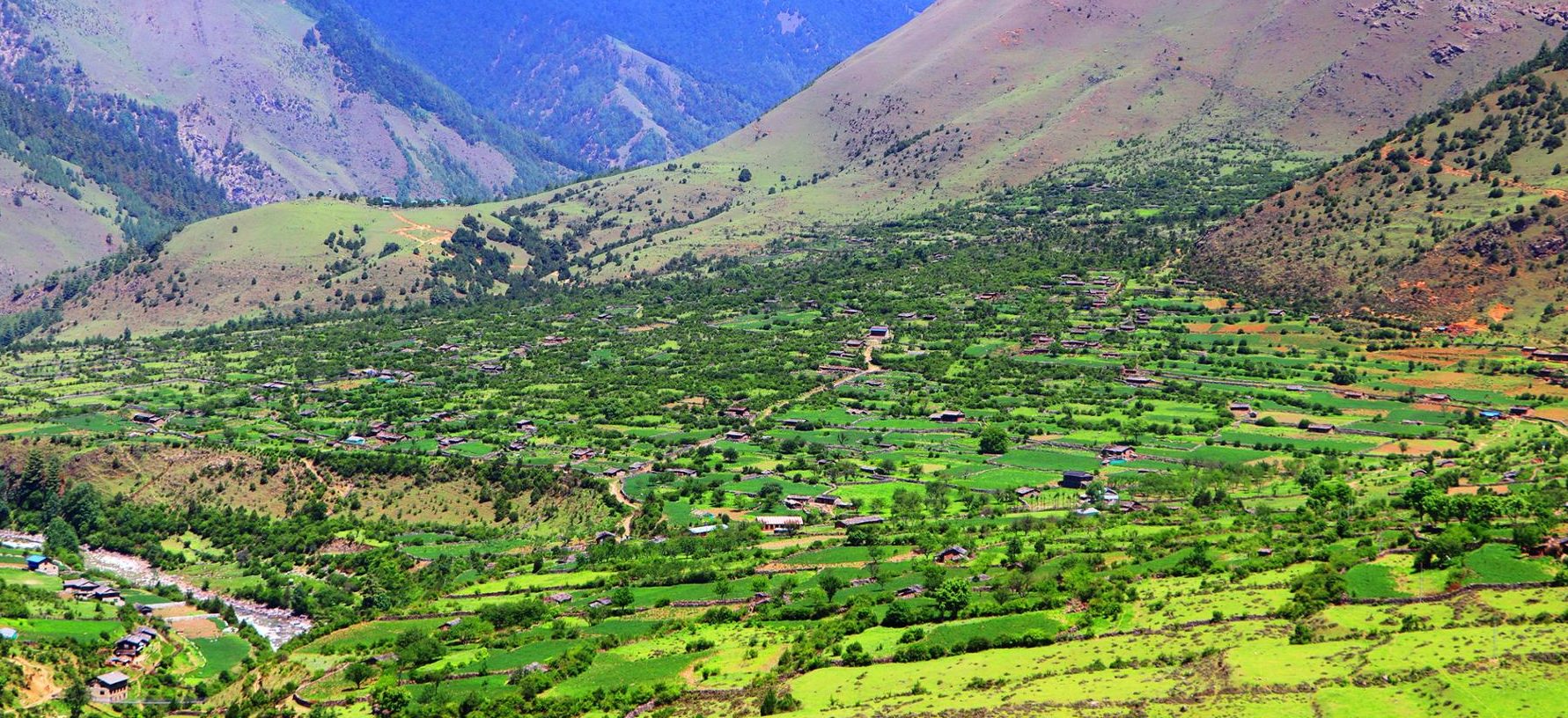 सास्तीमा छन् निसेलढोरका बासिन्दा