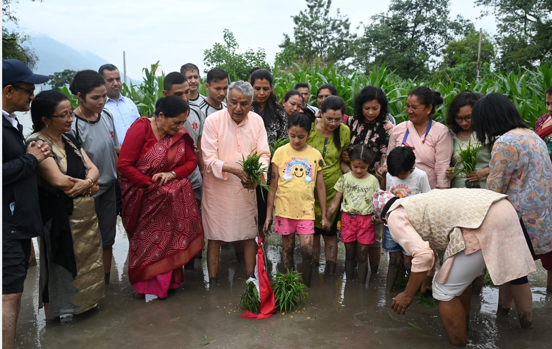 शीतल निवासमा धान रोपाइँ