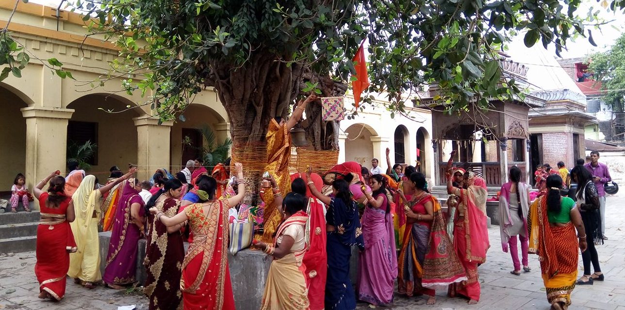 पतिको दीर्घ जीवन र सुस्वास्थ्यको कामना गर्दै मिथिलामा वटसावित्री पर्व मनाइँदै