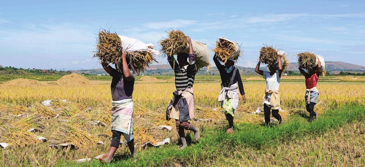 चीनमा खाद्य सुरक्षा कानुन लागू