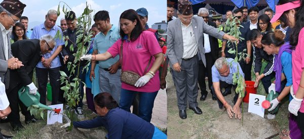 बिरुवा रोपेर नेपालस्थित भारतीय राजदूतावासले मनायो विश्व वातावरण दिवस