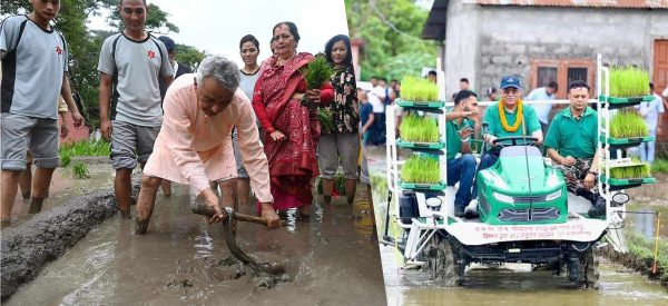असार १५ मा उपद्रो : चितवनमा हली प्रधानमन्त्री, शीतलनिवासमा बाउसे राष्ट्रपति