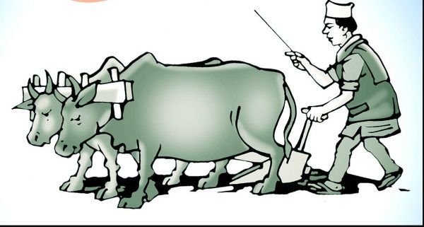 ‘गोरुलाई पोषण, कृषकलाई प्रोत्साहन’
