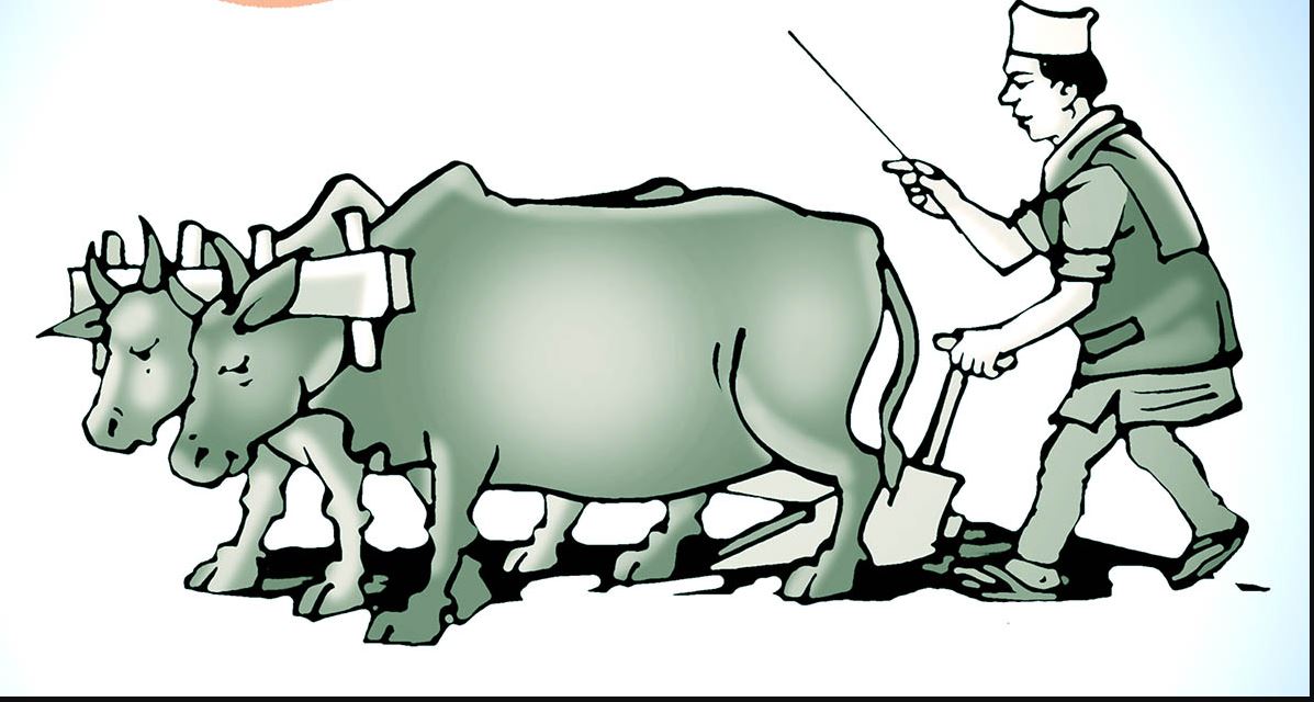 ‘गोरुलाई पोषण, कृषकलाई प्रोत्साहन’