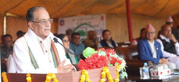 चुरेका प्राकृतिक सम्पदा मानवीय अतिक्रमणको दुष्चक्रमा परे : प्रधानमन्त्री