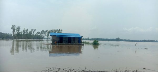 मौसम विभागले भन्यो- सोमबार कञ्चनपुरमा नेपालको इतिहासमै ठूलो वर्षा भयो