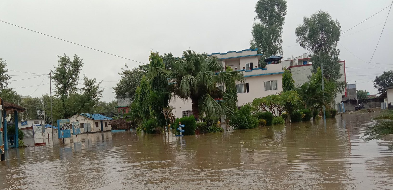 कैलालीमा बाढीको बितण्डा, भजनीका  अधिकांश वडा डुबानमा एक जनाको मृत्यु