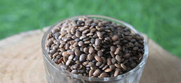 औषधीय गुणले भरिपूर्ण गहतको दाल