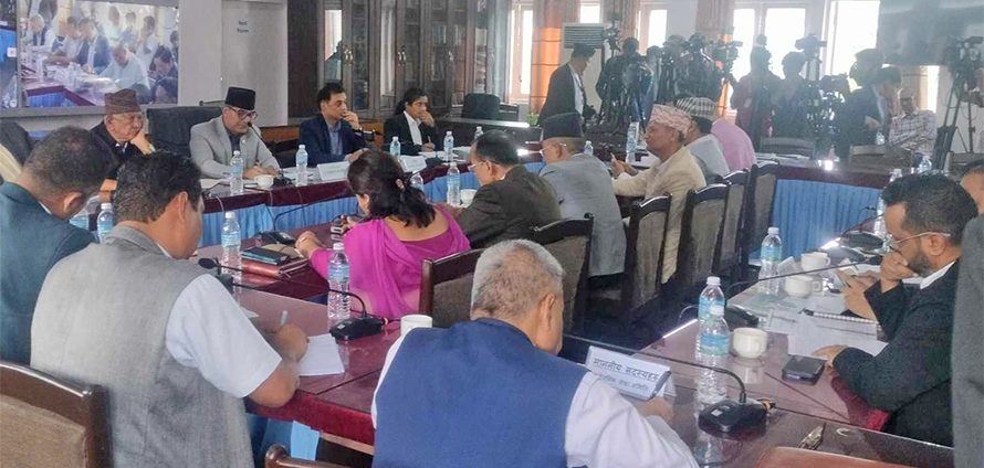 आईपीओ निष्कासनका बेलामा लेखा समिति घुसेको भन्दै व्यवसायीहरू असन्तुष्ट