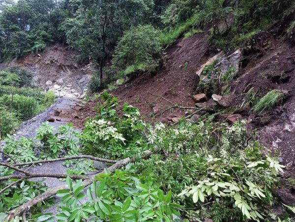बाढी, पहिरोलगायतका विपद‍्मा परी १९५ जनाको मृत्यु