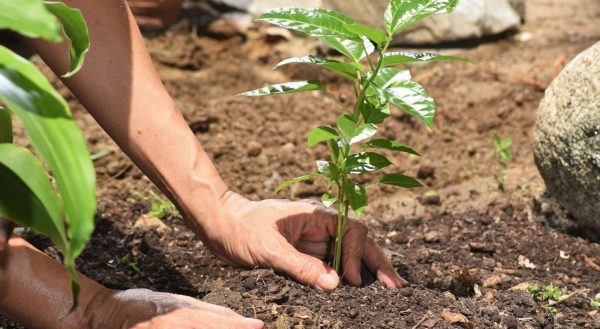राष्ट्रिय भू–संरक्षण दिवस आज विभिन्न कार्यक्रम गरी मनाइँदै