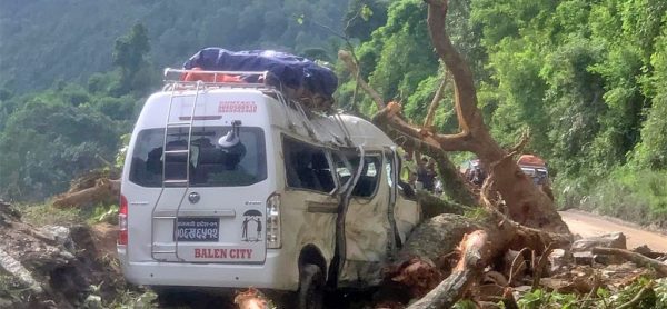 गुडिरहेको माइक्रो बसमाथि रुख बजारियो, ७ यात्रु घाइते