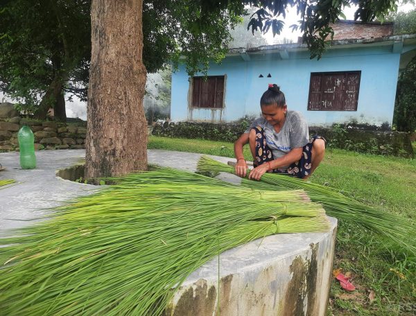 सिरुको कुचोसँग चामल साट्छिन् सम्झना