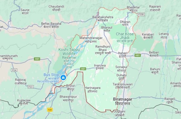 सुनसरीमा चार महिनाभित्रै एक हजार ३०० किलो गाँजा बरामद