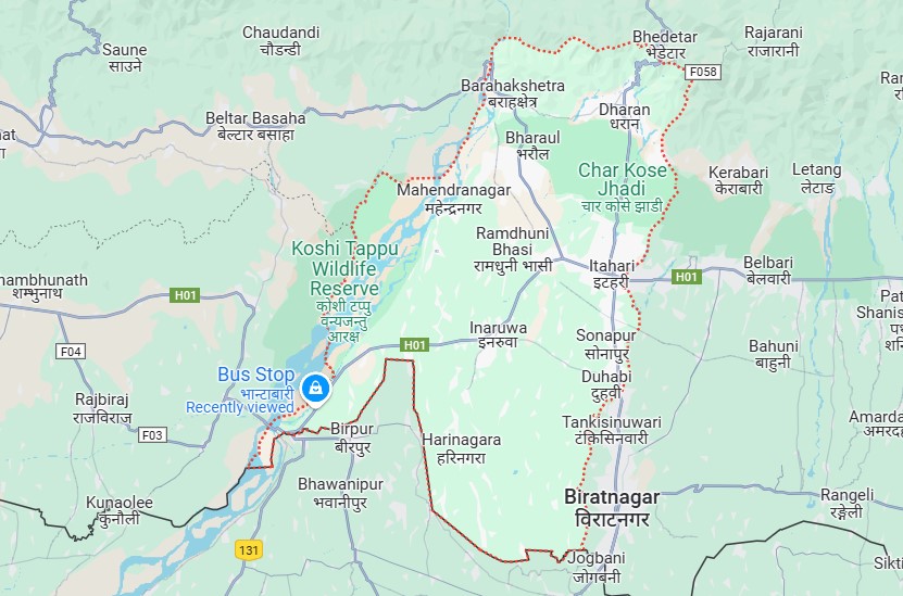 सुनसरीमा चार महिनाभित्रै एक हजार ३०० किलो गाँजा बरामद