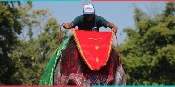 सुन्दरी प्रतियोगिताका लागि सिङ्गारिएका हात्ती (तस्वीरहरू)